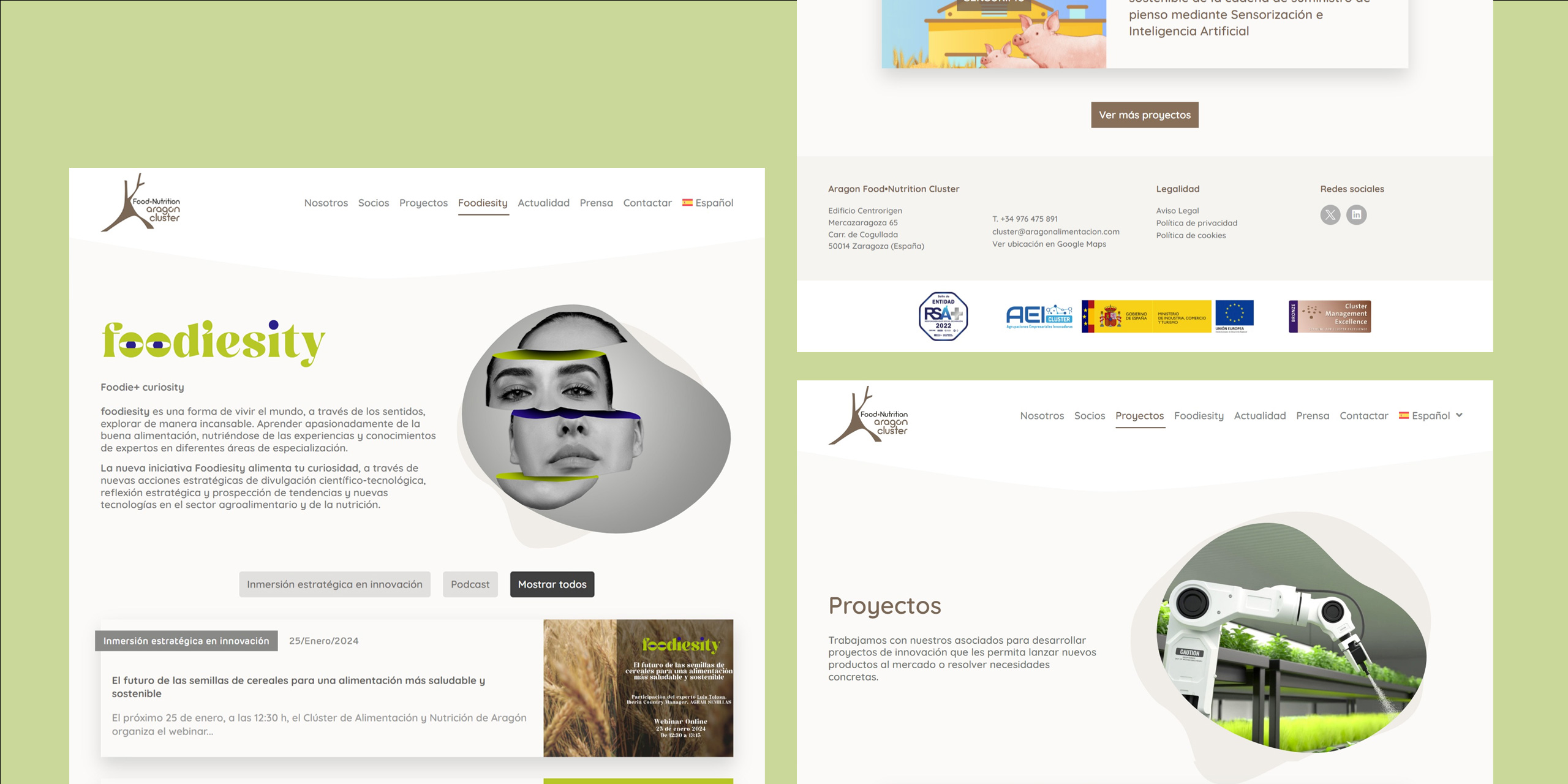 Cluster aragon website