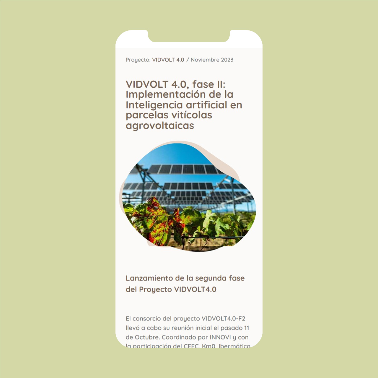 Cluster aragon website